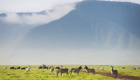 Ngorongoro and Tarangire